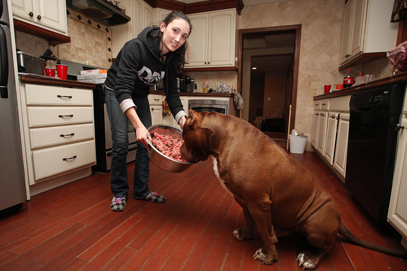 Hulk is fed by Lisa Grennan