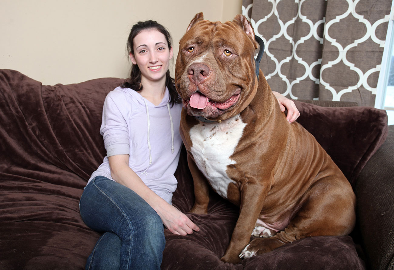 Hulk with Lisa Grennan at the Dark Dynasty K9s facility