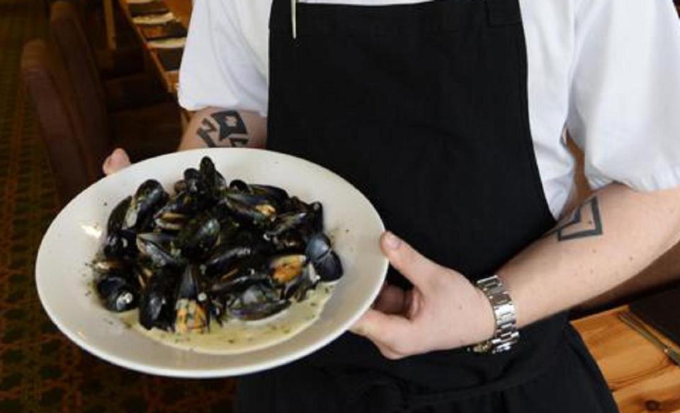  Mussels contain plastic thanks to sea pollution