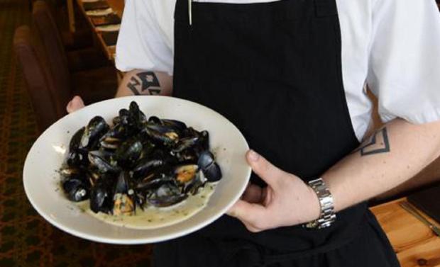 Mussels contain plastic thanks to sea pollution