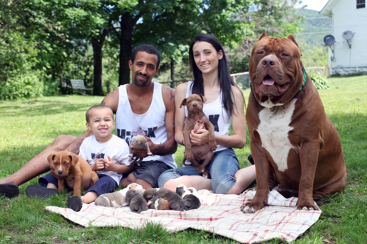 Big family . . . Hulk dwarfs his owners Marlon and Lisa