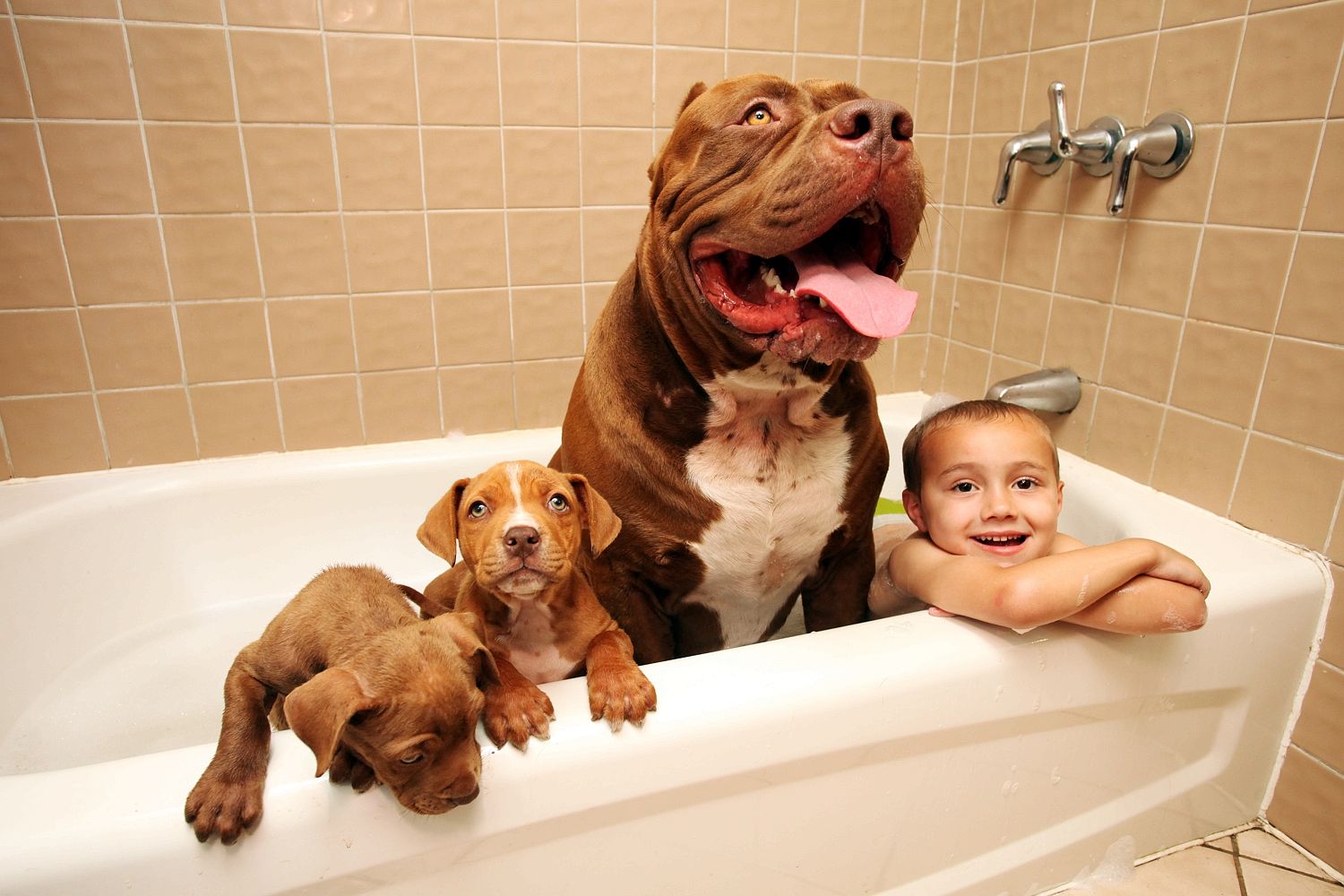 Bath time . . . Hulk and Jordan enjoy the bubbles