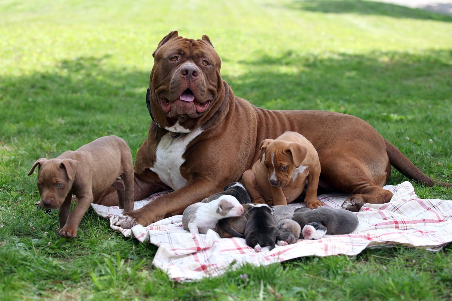 Family photo . .  . Hulk is ready for his close-up