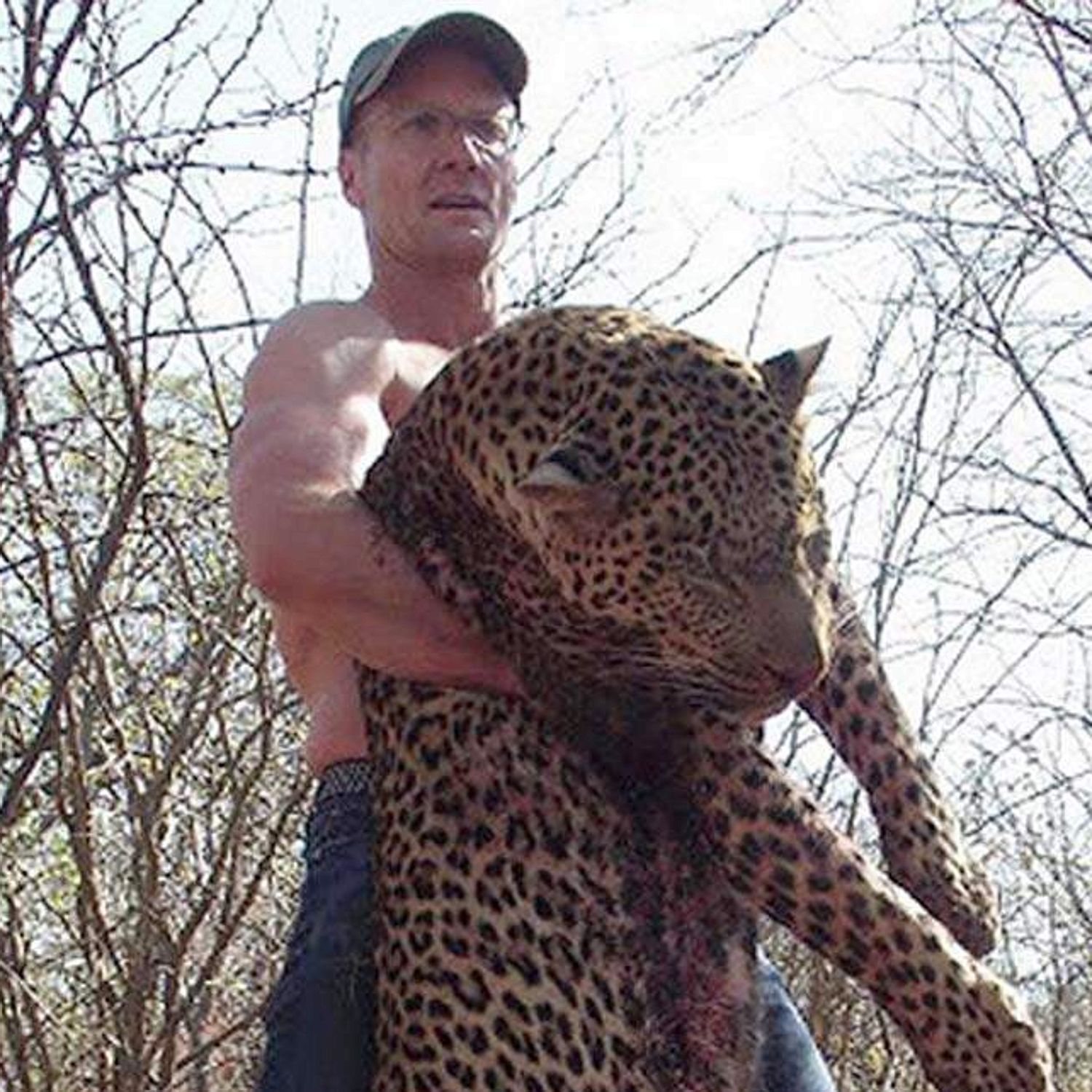 Disgusting ... Walter Palmer did not just have his eye on big cats during his hunting trip