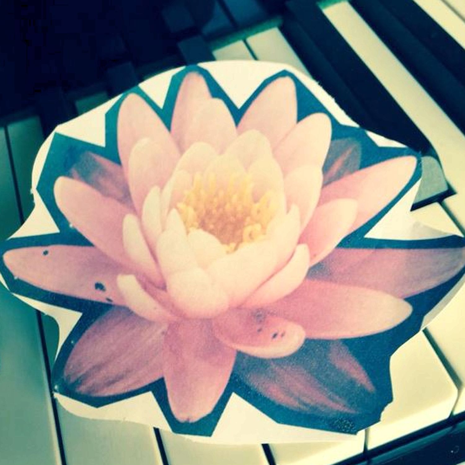 Cryptic pic ... Zayn's lotus flower post to Twitter