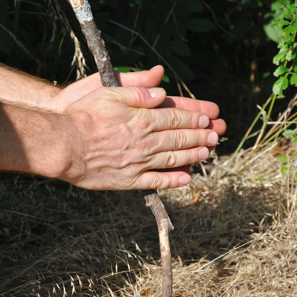  Some Neanderthal tribes showed advanced behaviour and were able to light fires