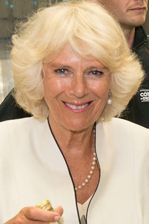 The Duchess of Cornwall t