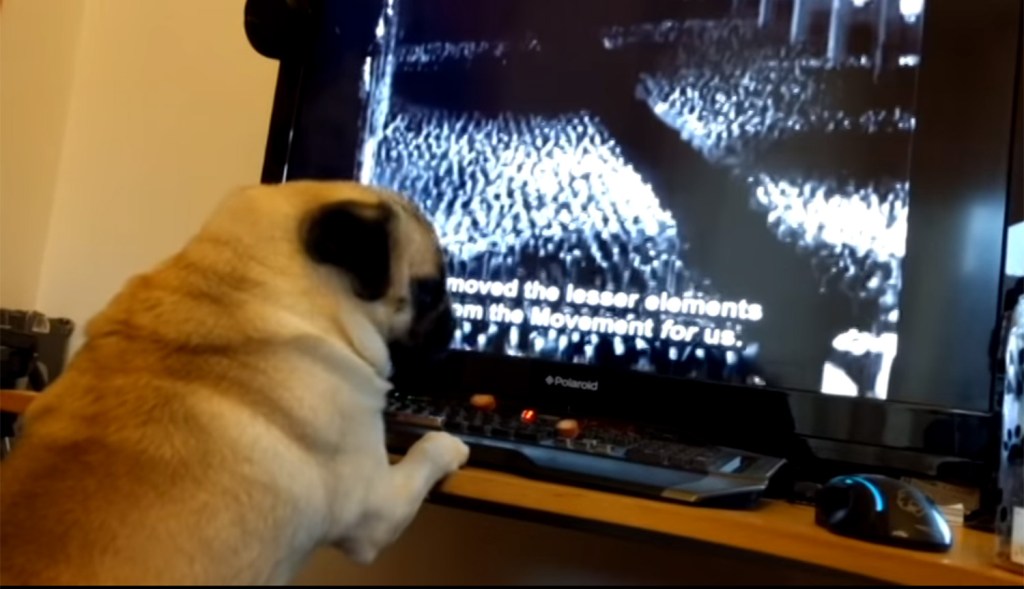  Little Buddha was filmed making Nazi salutes and watching videos of Hitler on TV