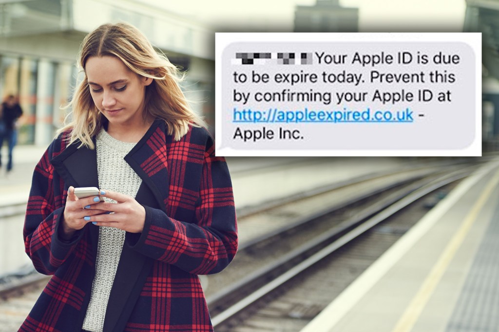  The fake website attempts to scam iPhone users personal details