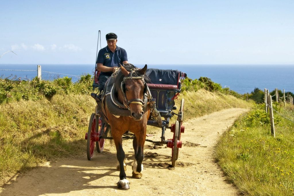  The good life by horse and cart instead