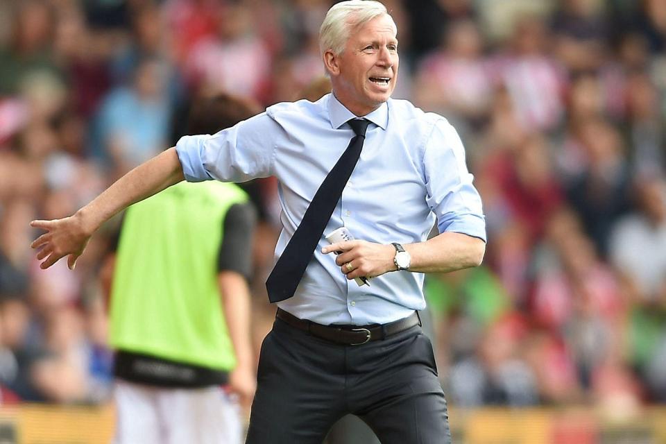  Alan Pardew could soon be boosted by a Crystal Palace club-record signing