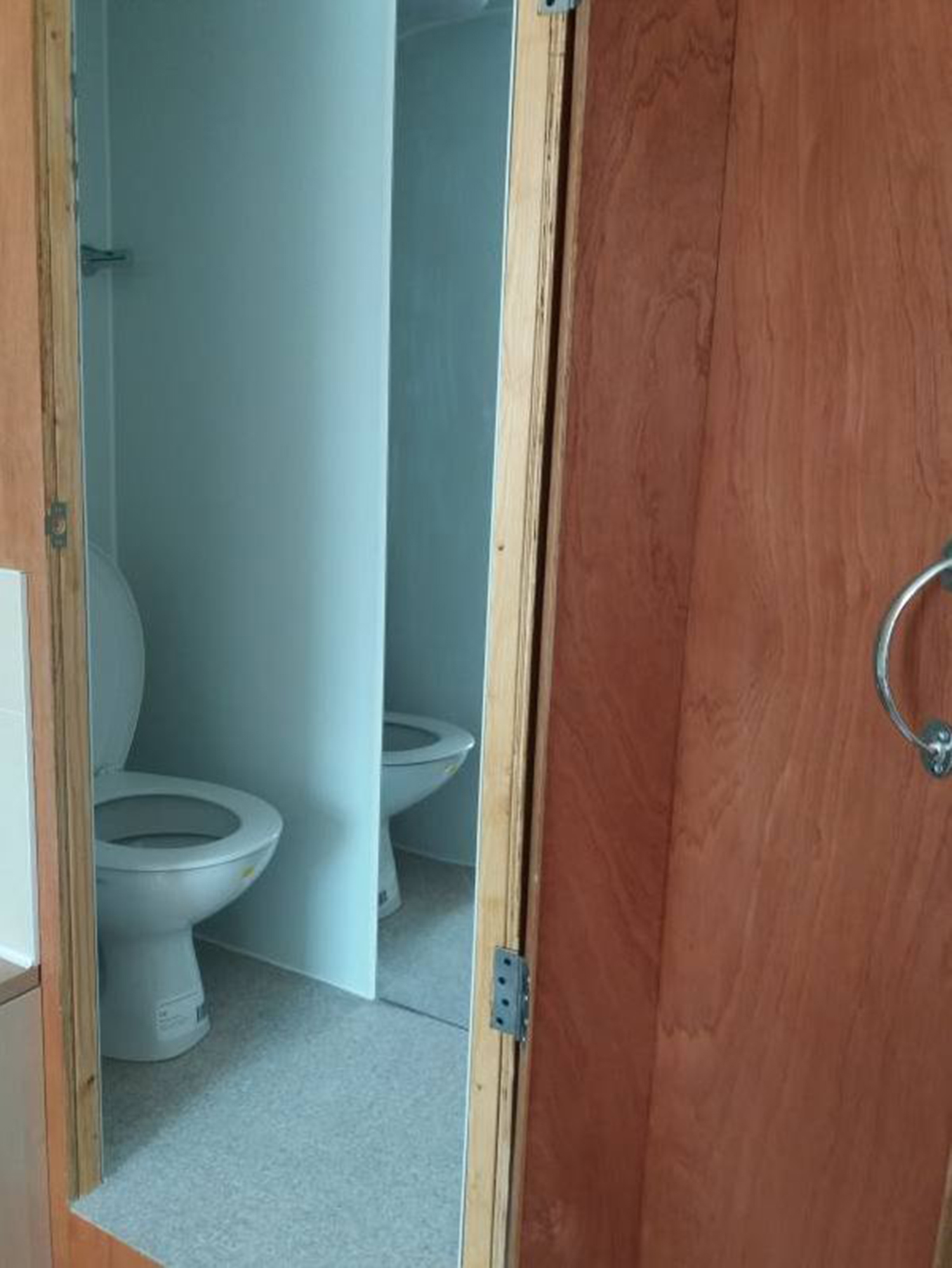 Toilet in the Cupboard