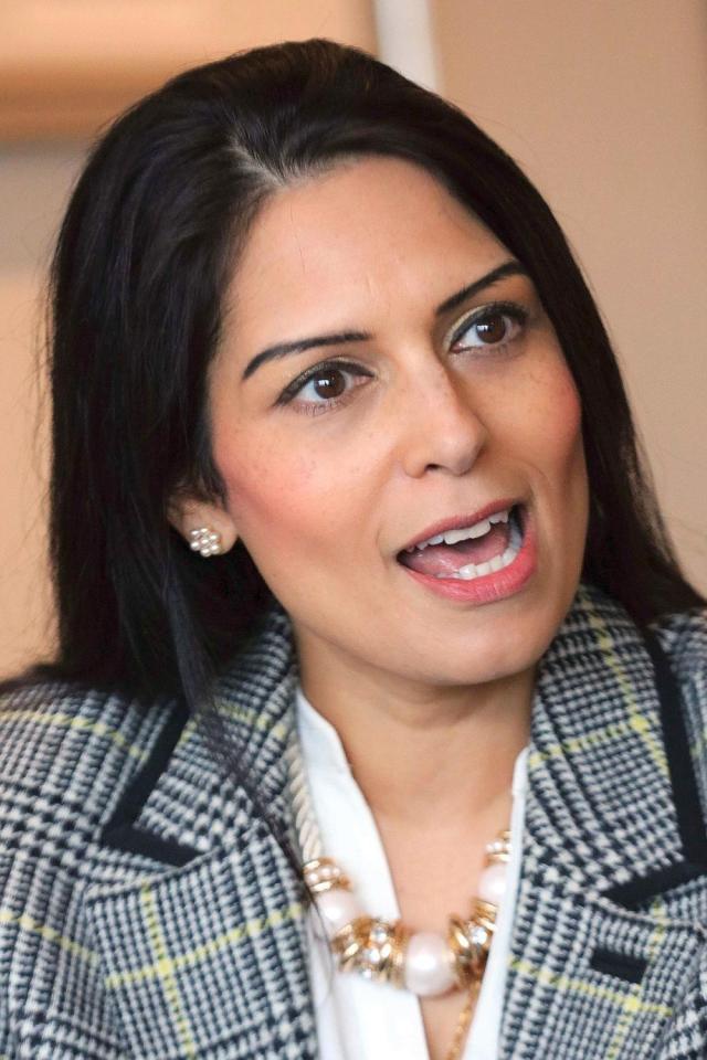  Priti Patel believes 'Project fear has turned project joke' and our economy only has a chance to thrive if we leave the EU