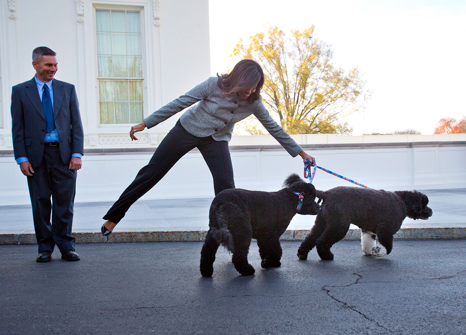  The pooches even have their own personal diary managed by Michelle Obama