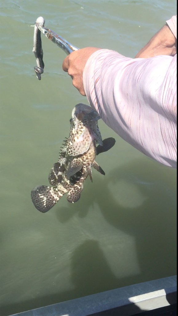  Andy removes the venomous snake from the mouth of his catch