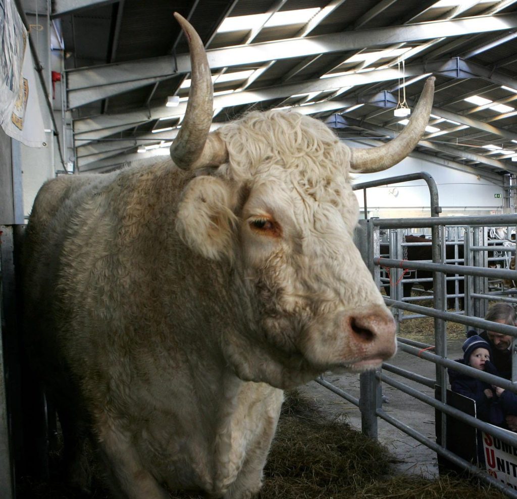 Keith Harrison saved farmer from a bull