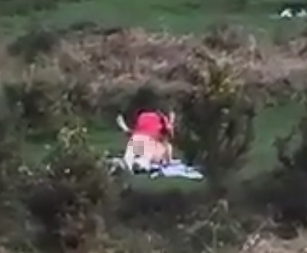  The couple were caught romping amongst the heather in the New Forest in Hampshire