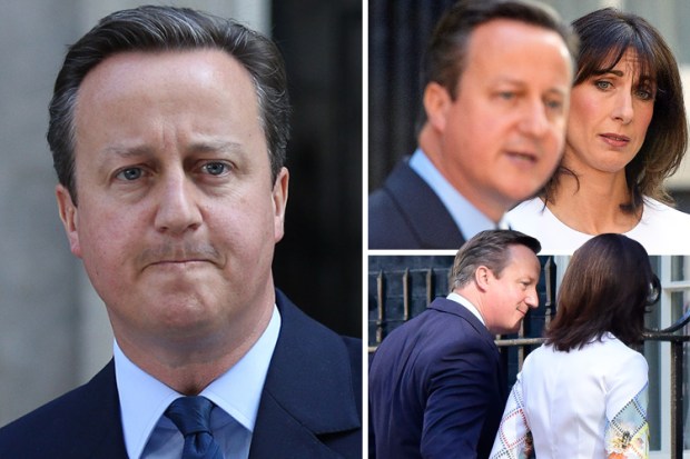 composite sad camerons