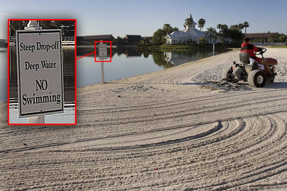  The sign at the Florida hotel beach says no swimming...but makes no mention of alligators in the lake