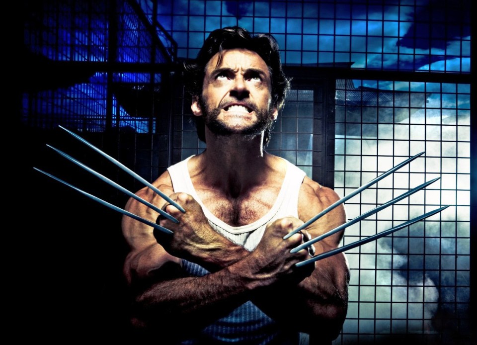 Hugh Jackman won the role of Wolverine after Dougray Scott was forced to pull out