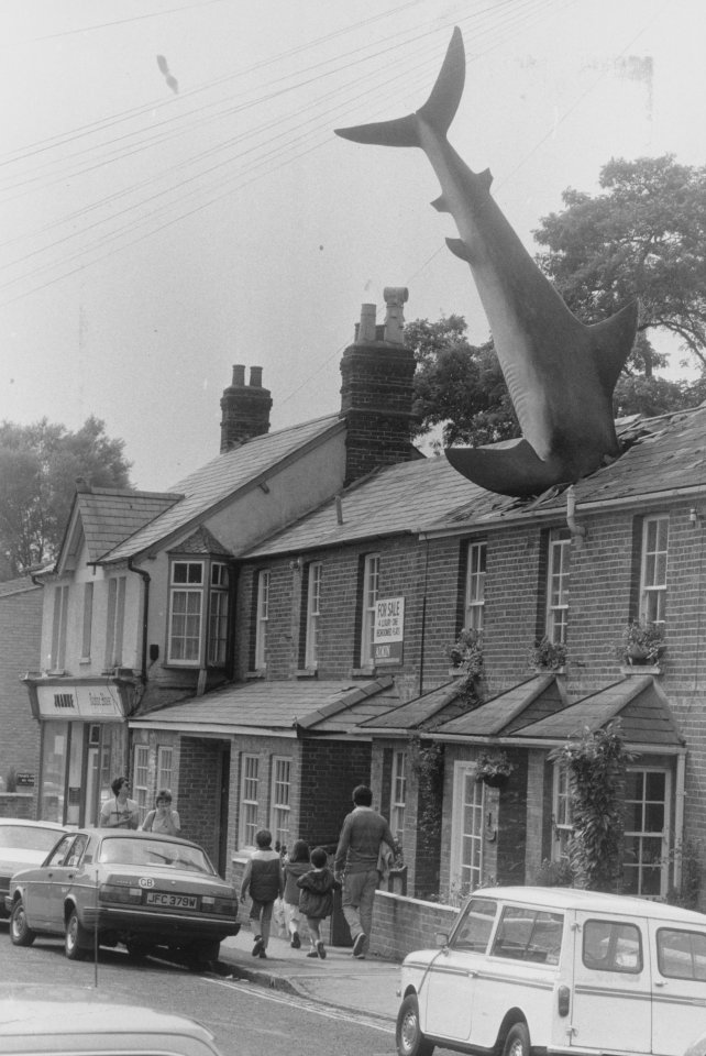  The shark was installed 30 years ago and Bill had a six year battle with the council