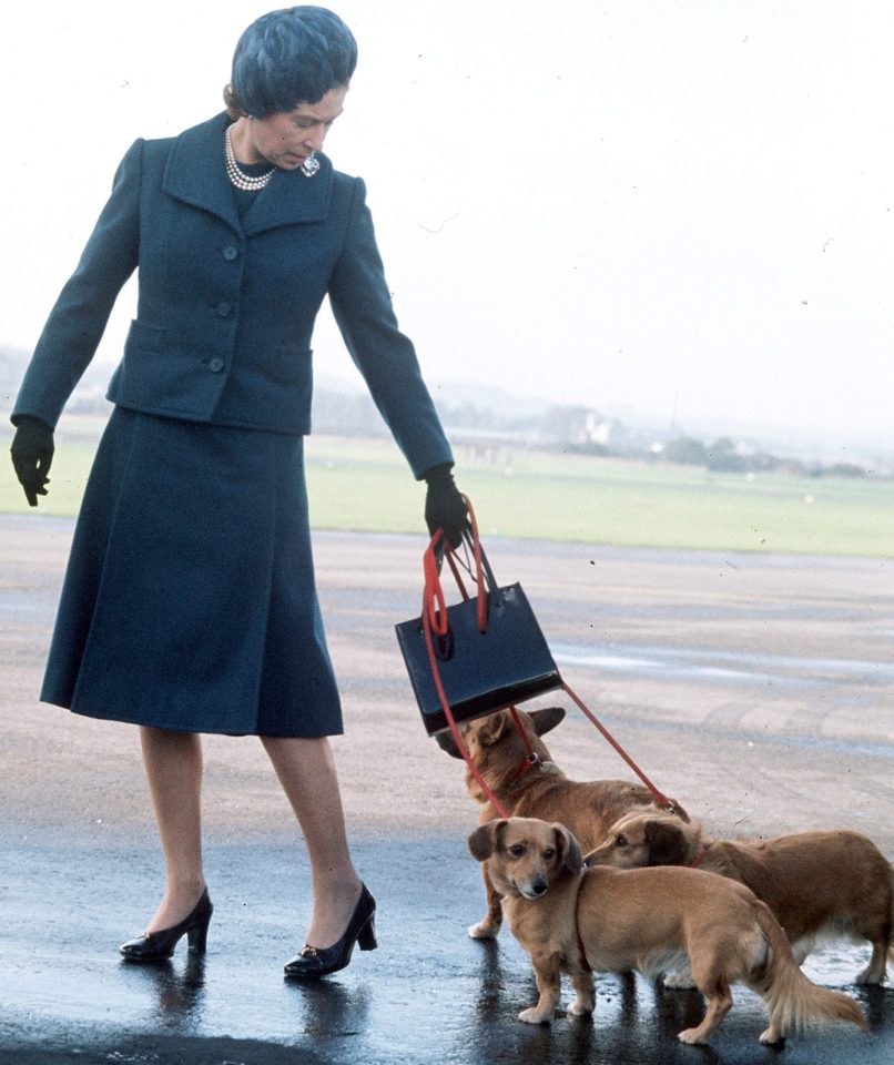  The Queen always carries a Launer handbag but only has cash on Sundays