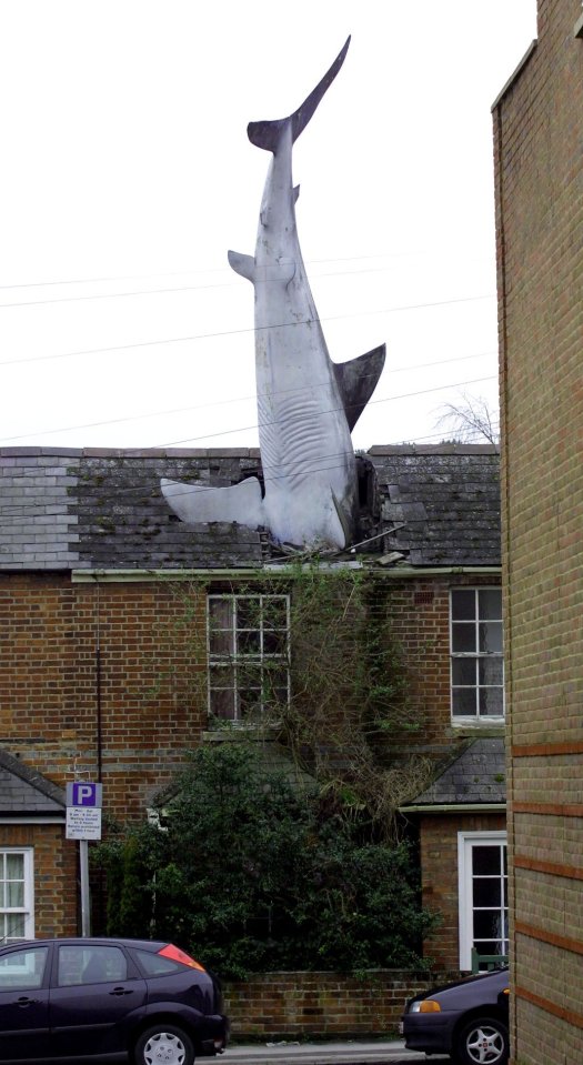  The shark looks incredibly random on a quiet residential street