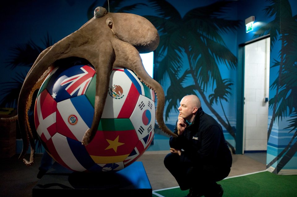  The late Paul The Octopus blew people's minds during Euro 2008 and Euro 2010