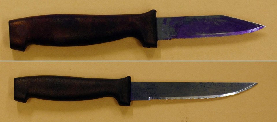  Police recovered a 3inch and 5inch knife from Roshonara Choudhry when she was arrested