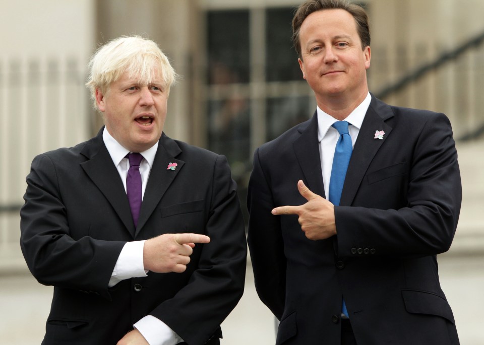  Were best of buds - Boris jokes around with Cameron in 2012 after PM made a plea for him to run in last election