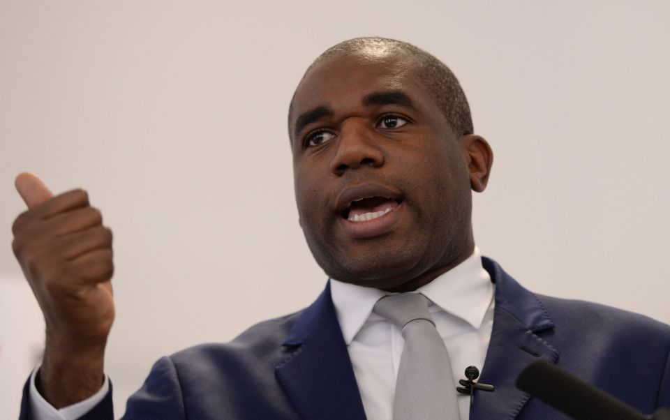  David Lammy says Parliament can overrule the referendum and keep the UK in the EU