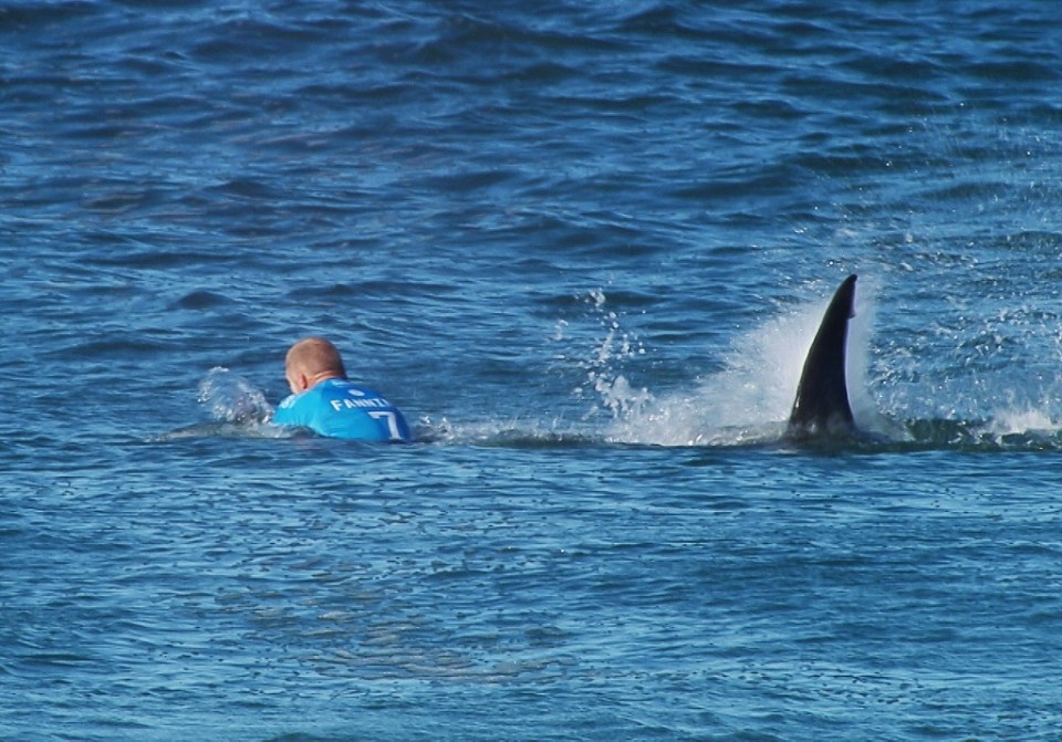  Mick Fanning was pursued by a great white shark at last year's J-Bay Open but escaped without being harmed after a safety boat quickly came to aid