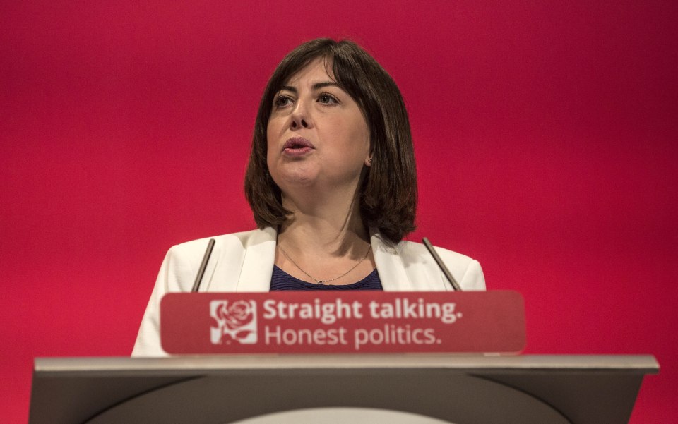  Lucy Powell, ex-Labour Shadow Education Secretary, said policy was 'flawed plan'