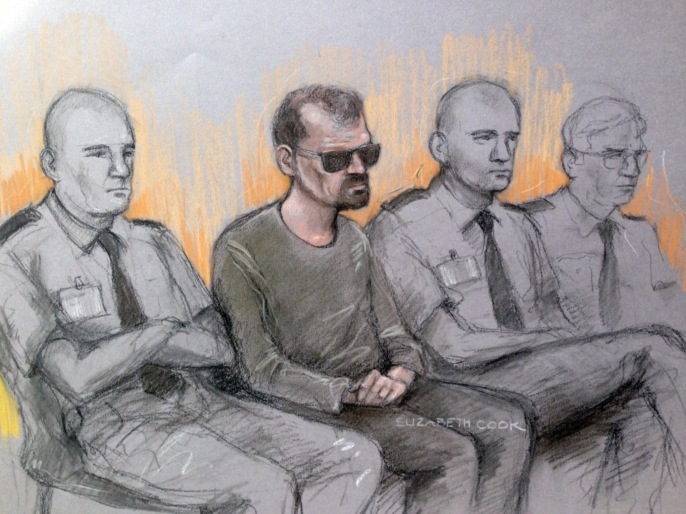  A court sketch from when Brizzi appeared at the Old Bailey in April, charged with allegedly committing murder