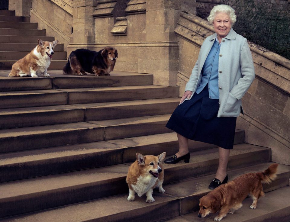  The Queen with her Corgis and Dorgis, a breed she invented