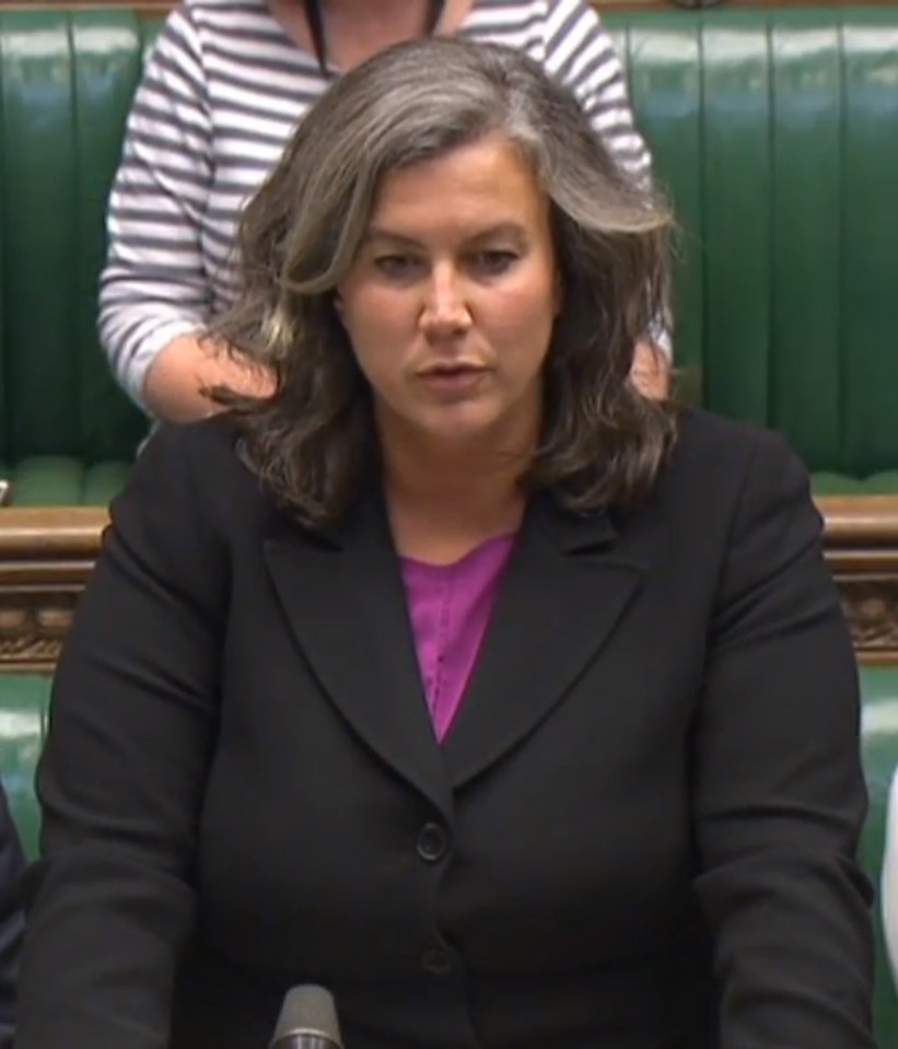  Concerns ... Heidi Alexander, Labour’s shadow health secretary, said: “Senior doctors are absolutely right to raise the alarm about the state of the NHS in England