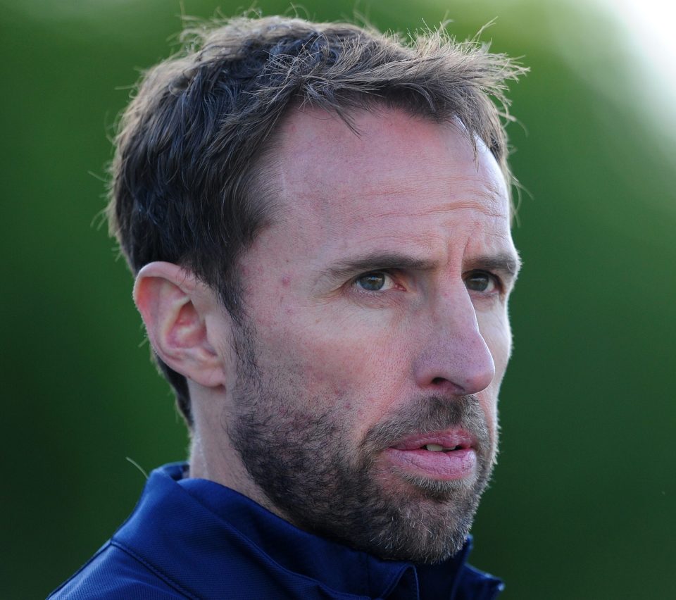  Gareth Southgate is now the favourite to replace Roy Hodgson as England manager