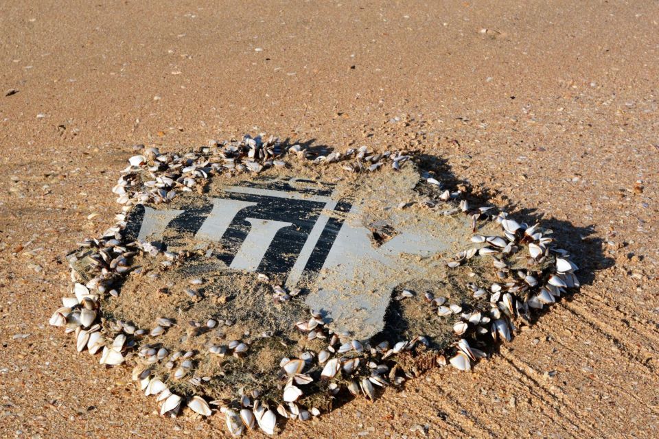  This piece of wreckage discovered in South Africa has been confirmed as being from missing MH370