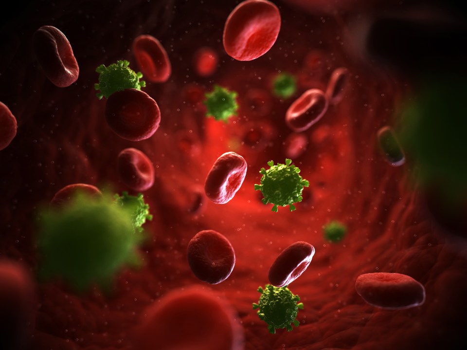  The new procedure dubbed 'kick and kill' trains the immune system to spot HIV when cells start dividing