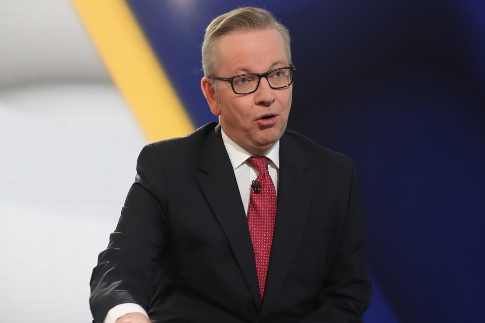  Michael Gove's Q&A on Sky News was the biggest test yet for the Leave campaign