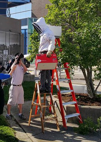  Sign of times . . . bee-keeper outside home