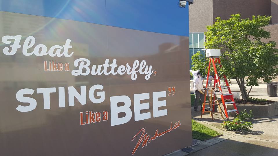  Officials had to call a beekeeper after a swarm of bees congregated in a tree directly across from a mural with the famous Muhammad Ali quote