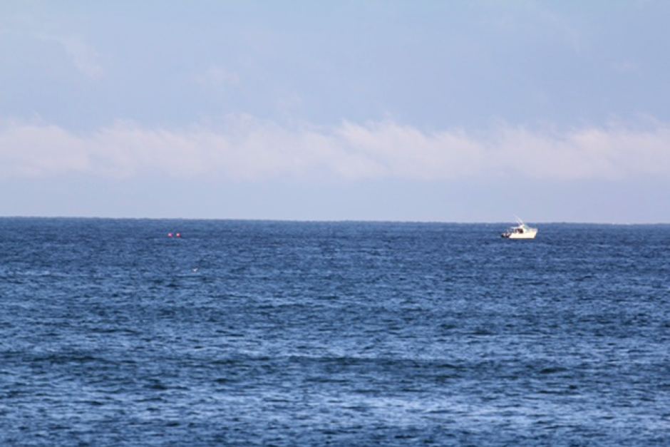  She was attacked off the coast from Mindarie beach