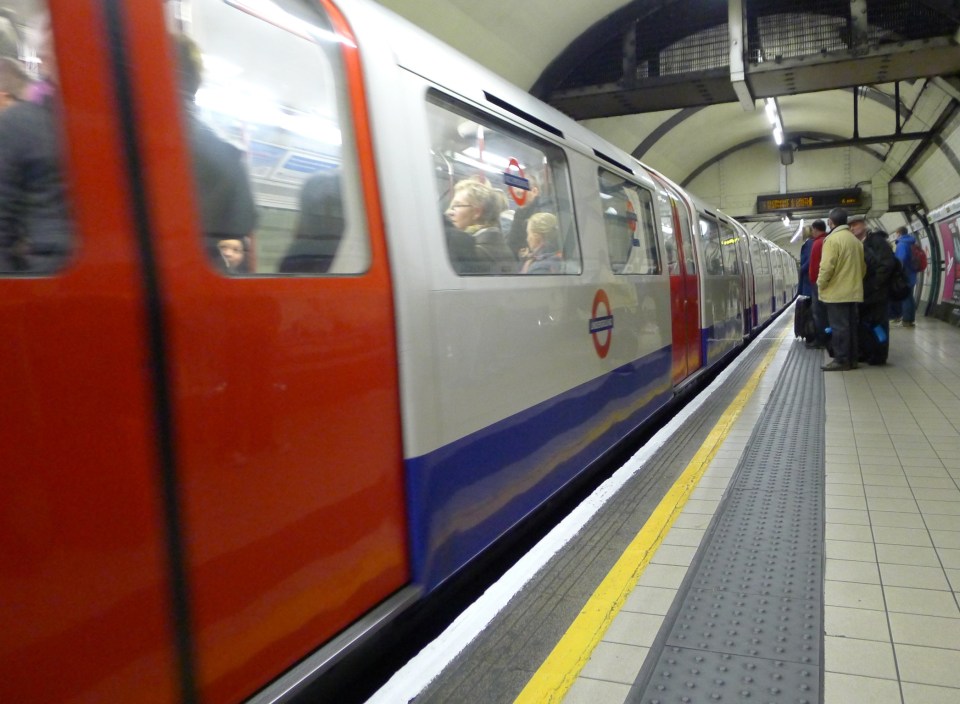  Lucky escape ... the cat's adventure started after she escaped on the tube