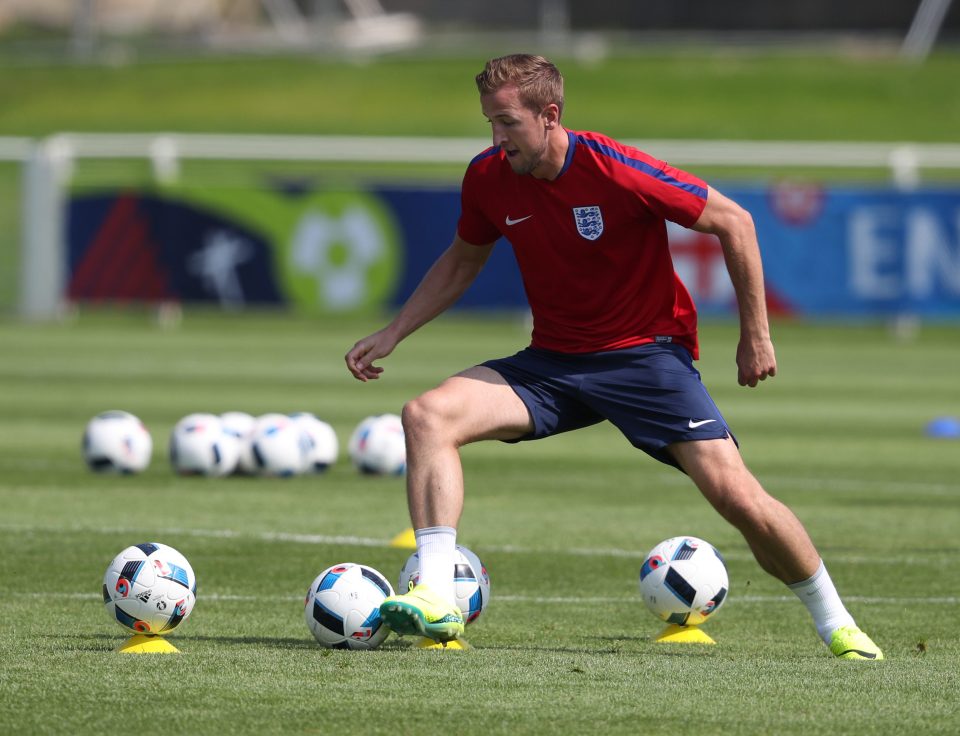  Harry Kane is the favourite with the bookies to look after the lion mascot next