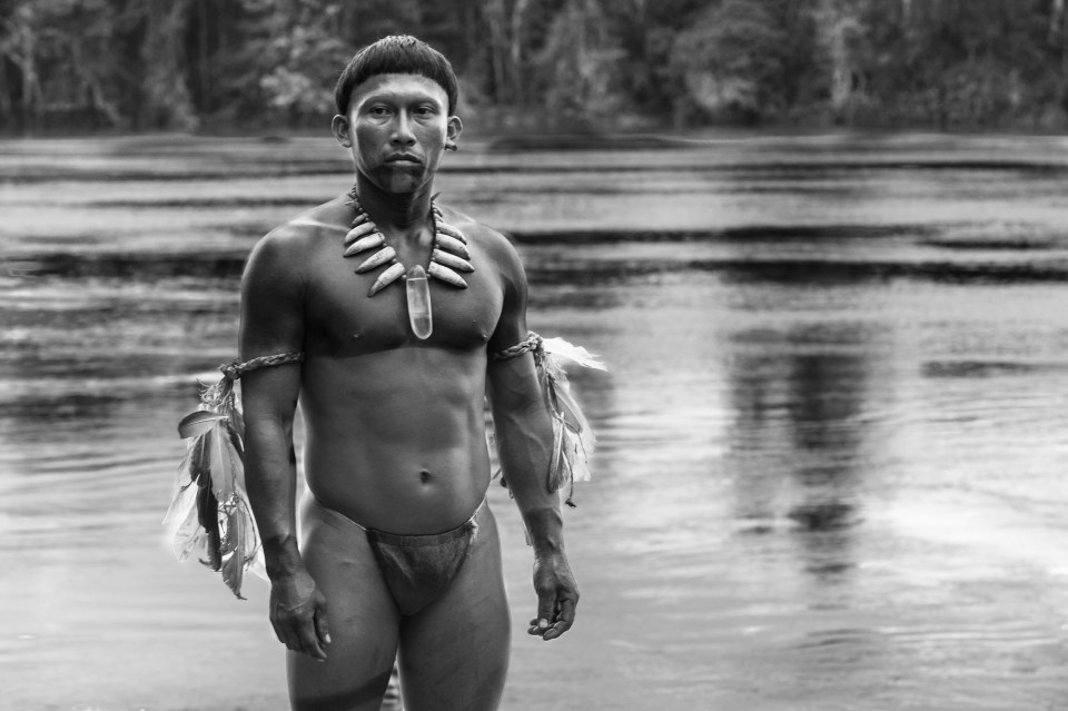  Embrace of the Serpent is film of the week and a must-see