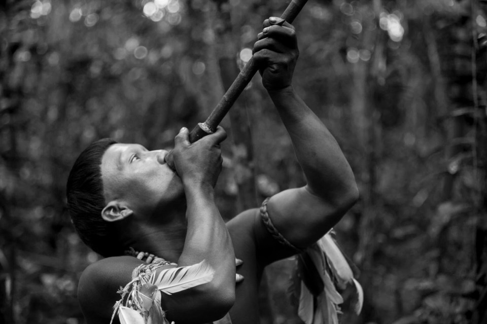  Set in the Colombian Amazon, Embrace of the Serpent is a spiritual journey