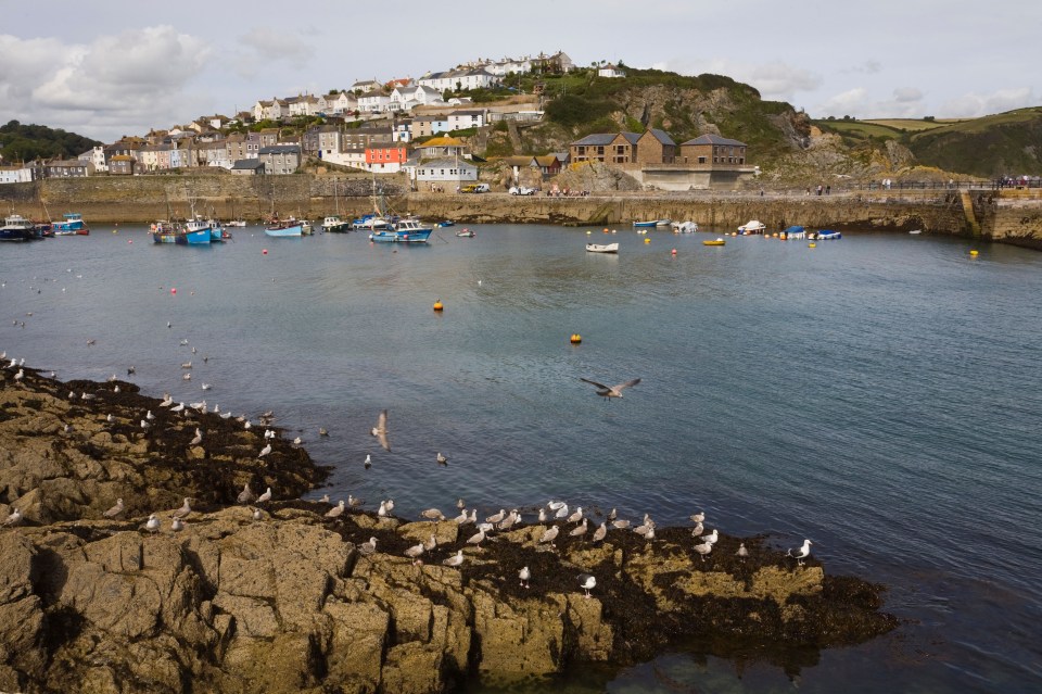  Anne and Steve live in a £350k four-bed detached house in St Austell, Cornwall