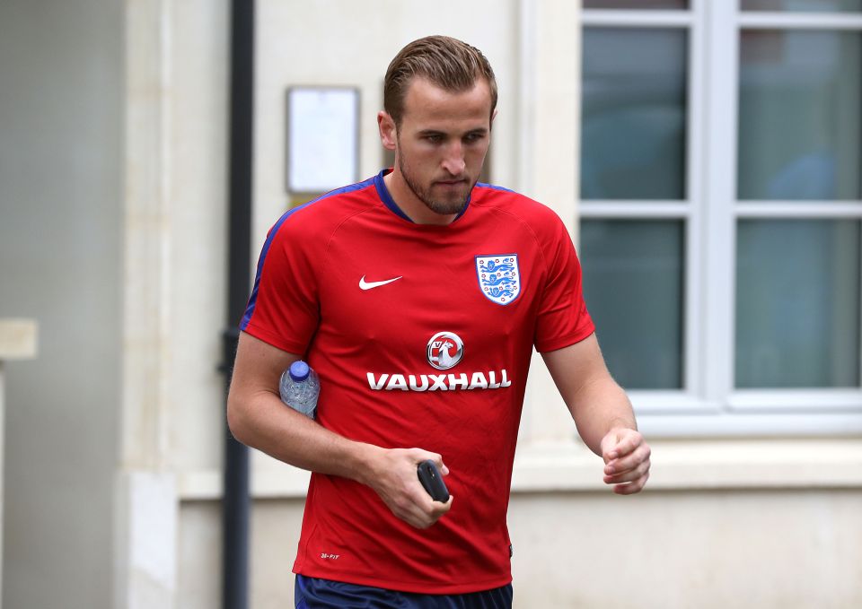  Will Harry Kane face foreign competition for the Tottenham striker spot?