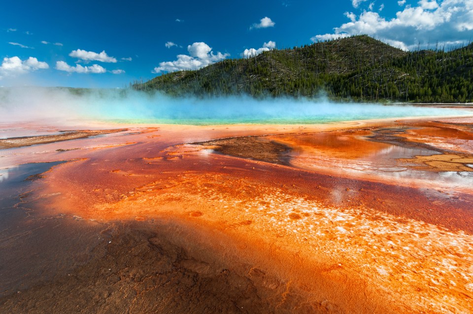  Boiled alive in a Yellowstone hot spring...